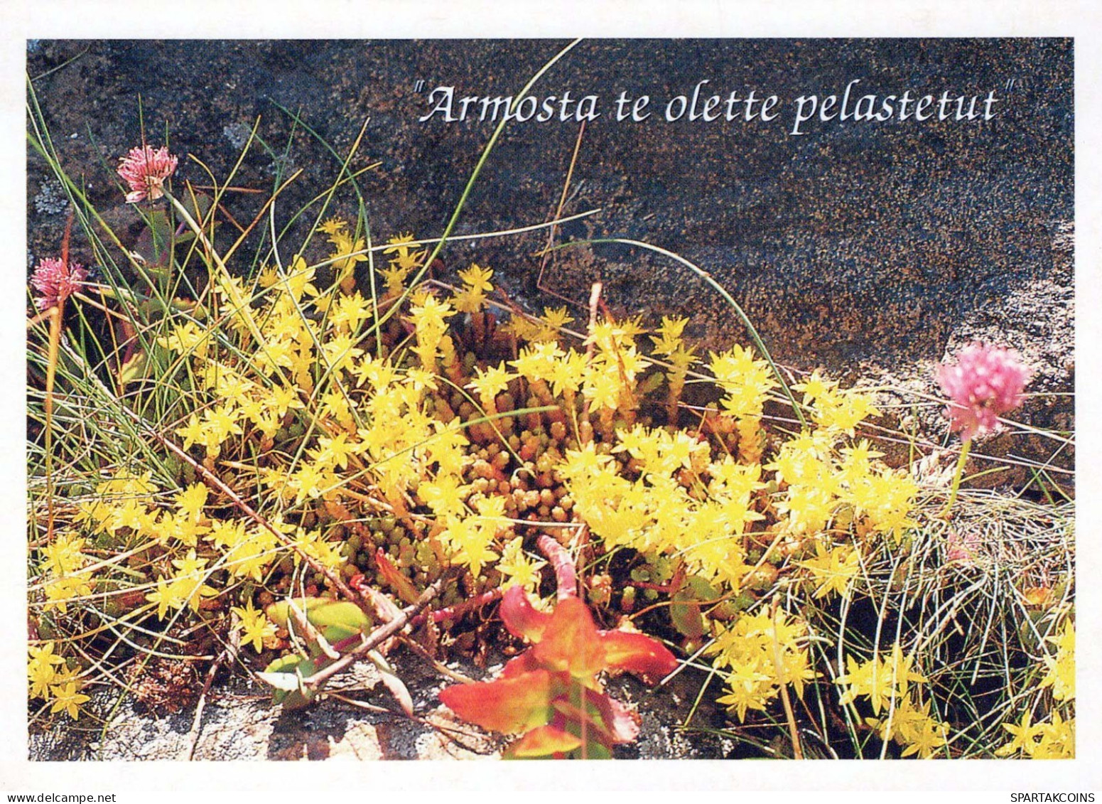 FLOWERS Vintage Ansichtskarte Postkarte CPSM #PBZ172.DE - Fleurs