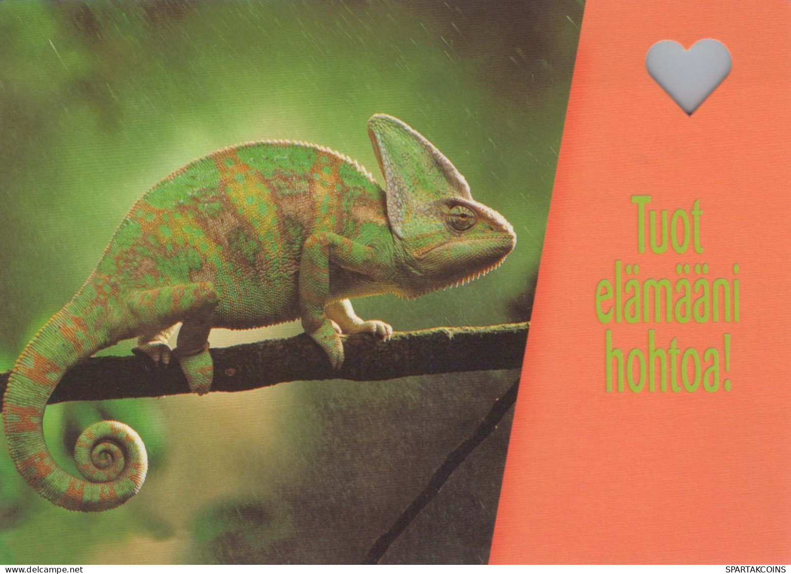 EIDECHSE Tier Vintage Ansichtskarte Postkarte CPSM #PBS830.DE - Other & Unclassified
