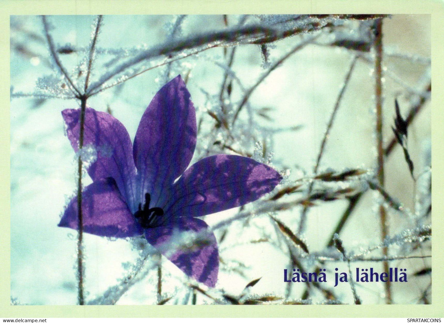 FIORI Vintage Cartolina CPSM #PBZ775.IT - Fleurs