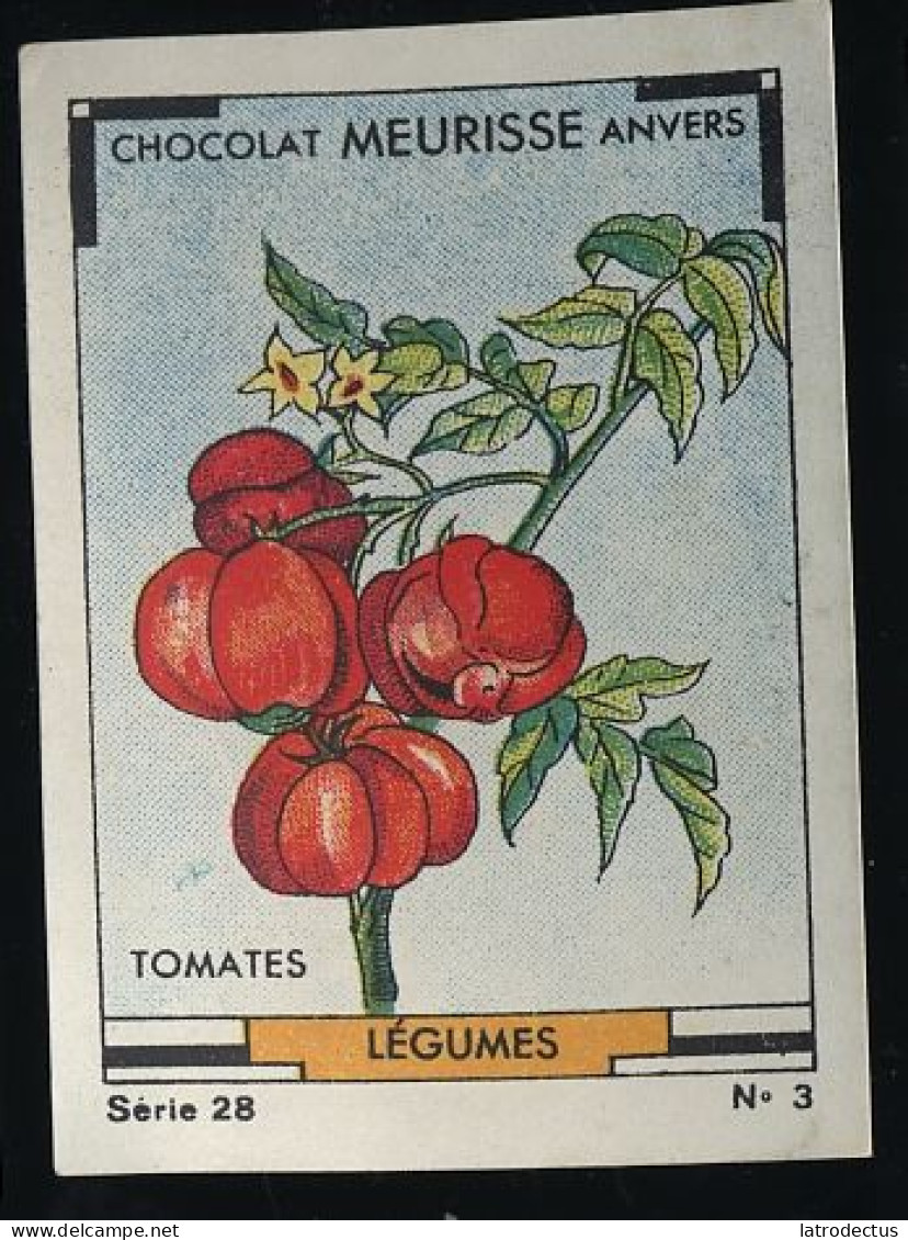 Meurisse - Ca 1930 - 28 - Les Légumes, Vegetables - 3 - Tomates, Tomatoes, Tomaten - Sonstige & Ohne Zuordnung