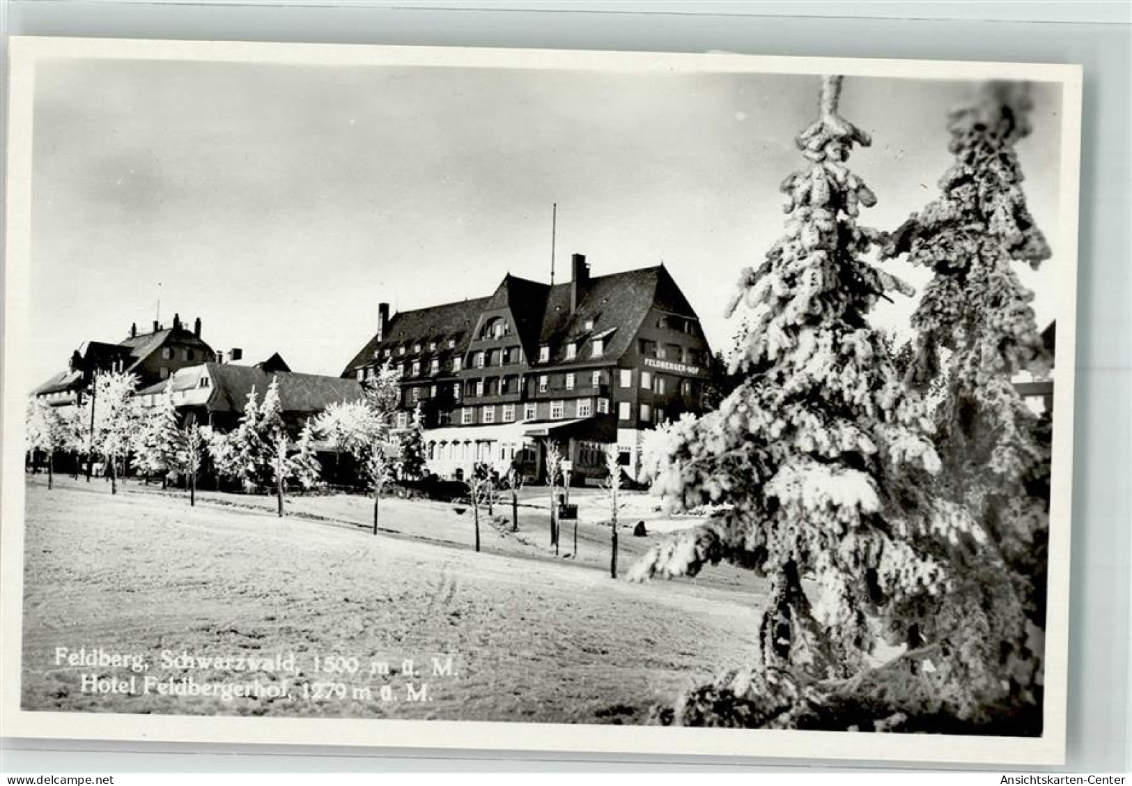 39773104 - Feldberg , Schwarzwald - Feldberg