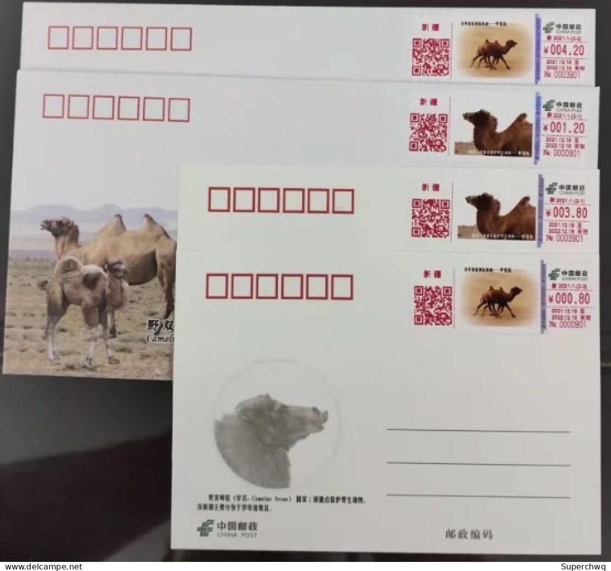 China Cover,Self Service Lottery Xinjiang New 2021-1 Wild Camel TS71，2cover+2pcs - Sobres