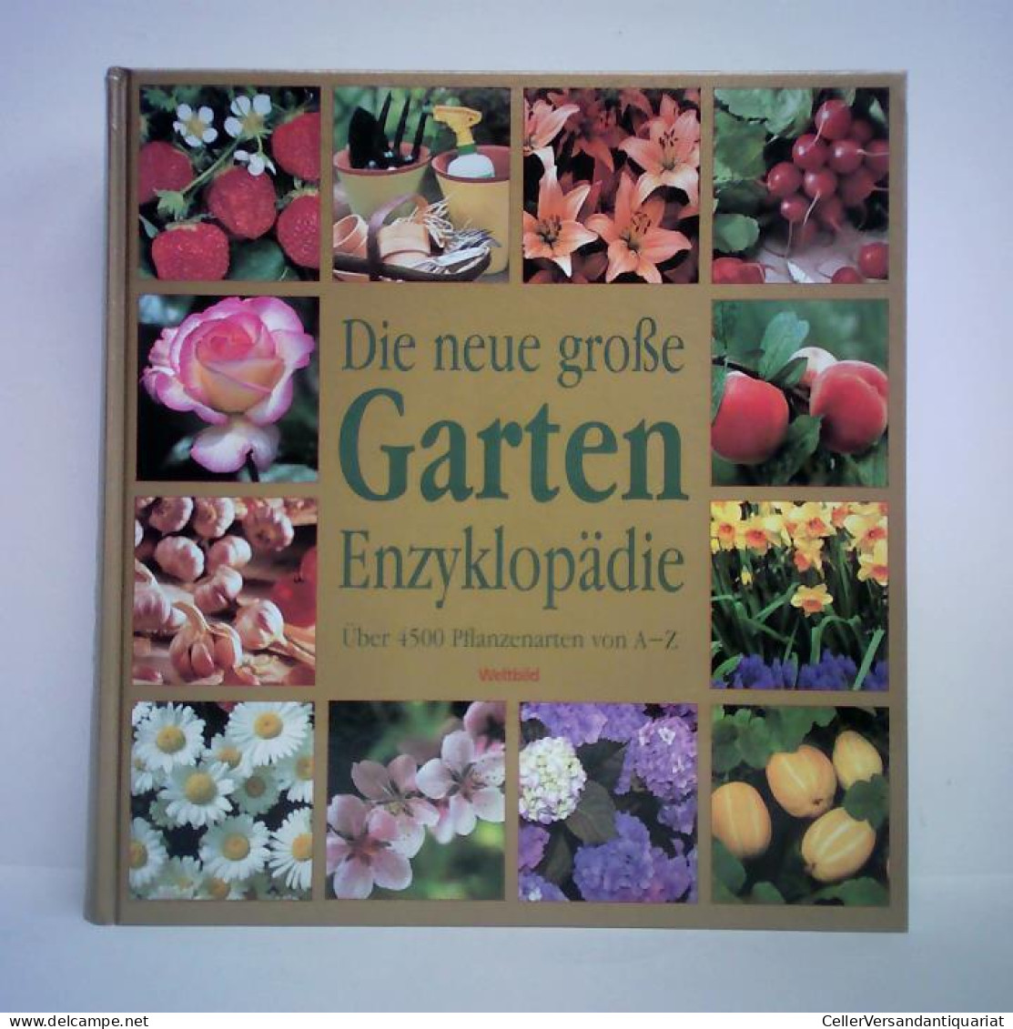 Die Neue Große Garten Enzyklopädie. Über 4500 Pflanzenarten Von A - Z Von Rogers, Juliet / Scarlett, Kay (Hrsg.) - Ohne Zuordnung