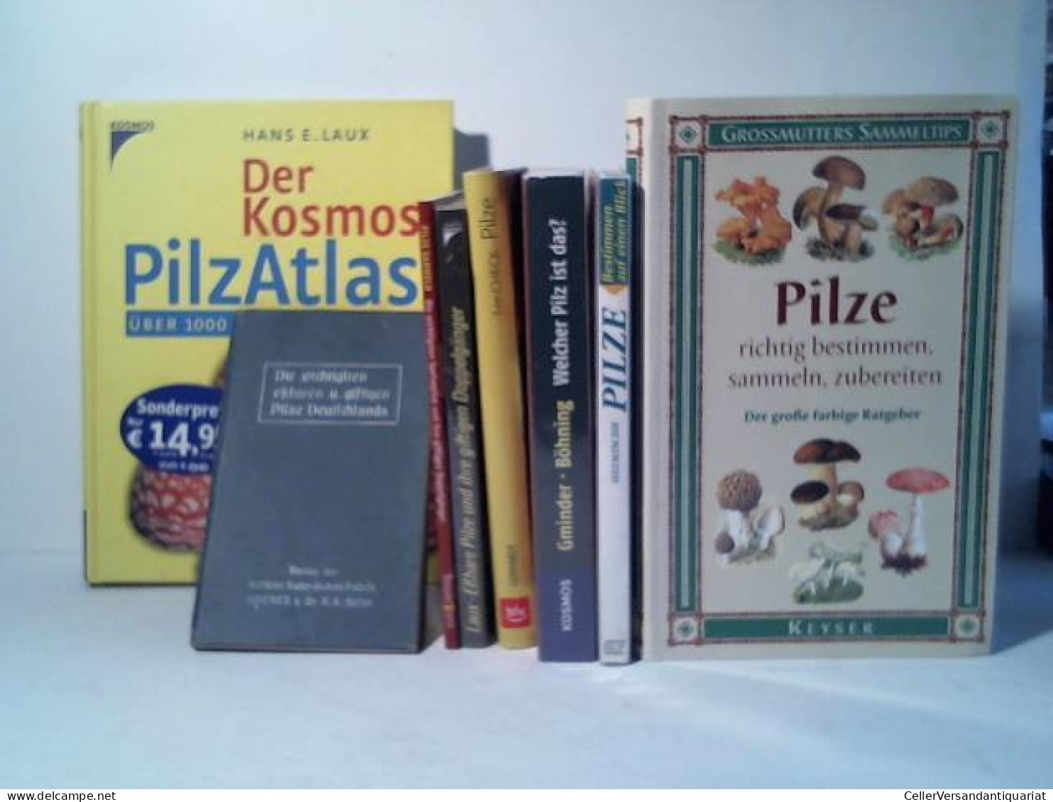 Sammlung Von 8 Bänden Von (Pilze Bestimmen Und Sammeln) - Non Classificati