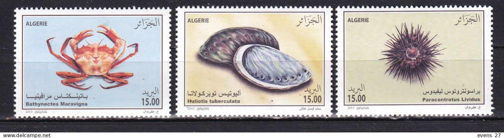 ALGERIA-2013-MARINE LIFE-MNH. - Algerien (1962-...)