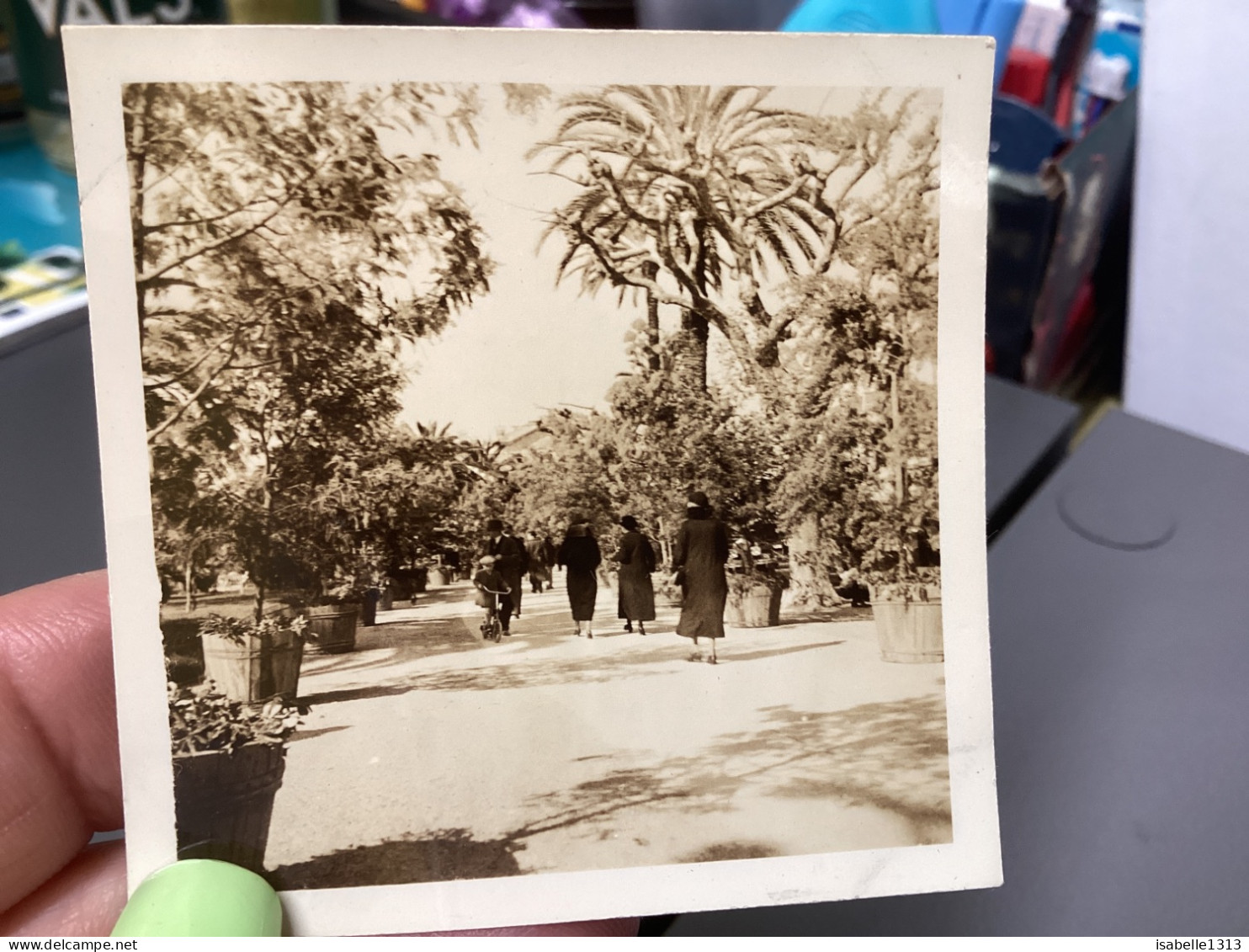 PHOTO SNAPSHOT 1930 Cannes L’esplanade Femme Qui Marche En Noir De Dos Palmiers, Garçon En Trottinette. - Lugares