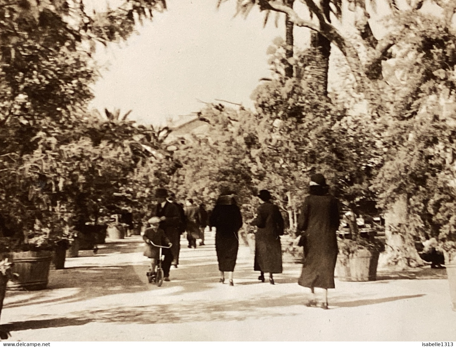 PHOTO SNAPSHOT 1930 Cannes L’esplanade Femme Qui Marche En Noir De Dos Palmiers, Garçon En Trottinette. - Lugares