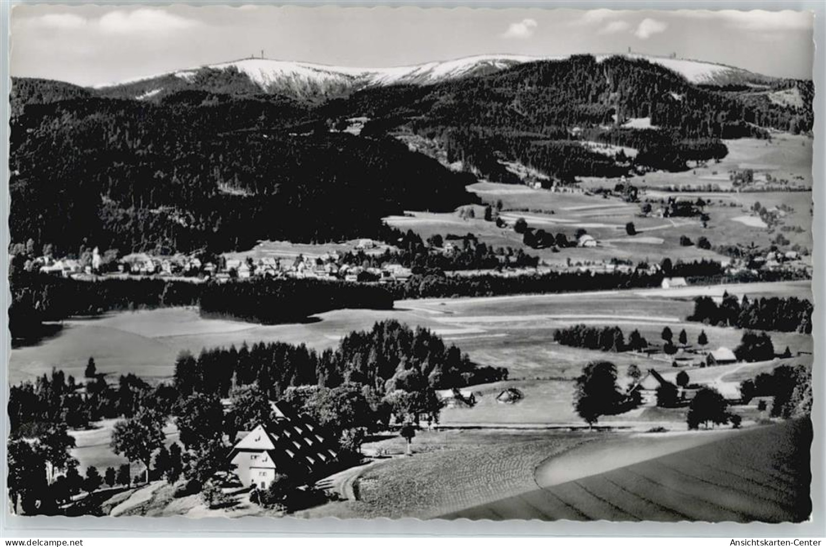 50441104 - Feldberg , Schwarzwald - Feldberg