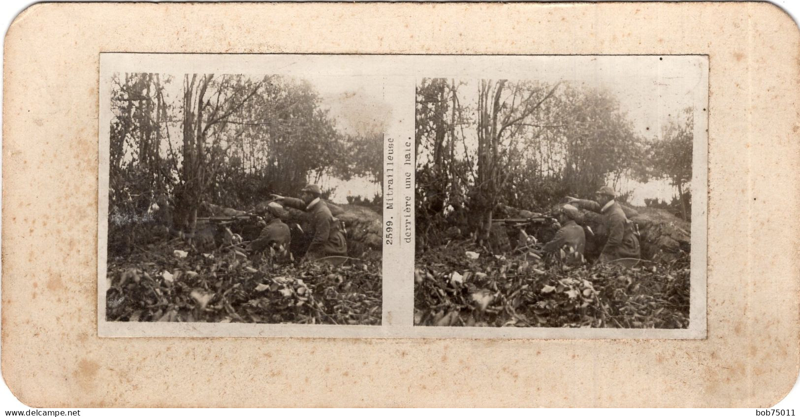 Photo Stéreoscopique , Mitrailleuse Derrière Une Haie - 1914-18