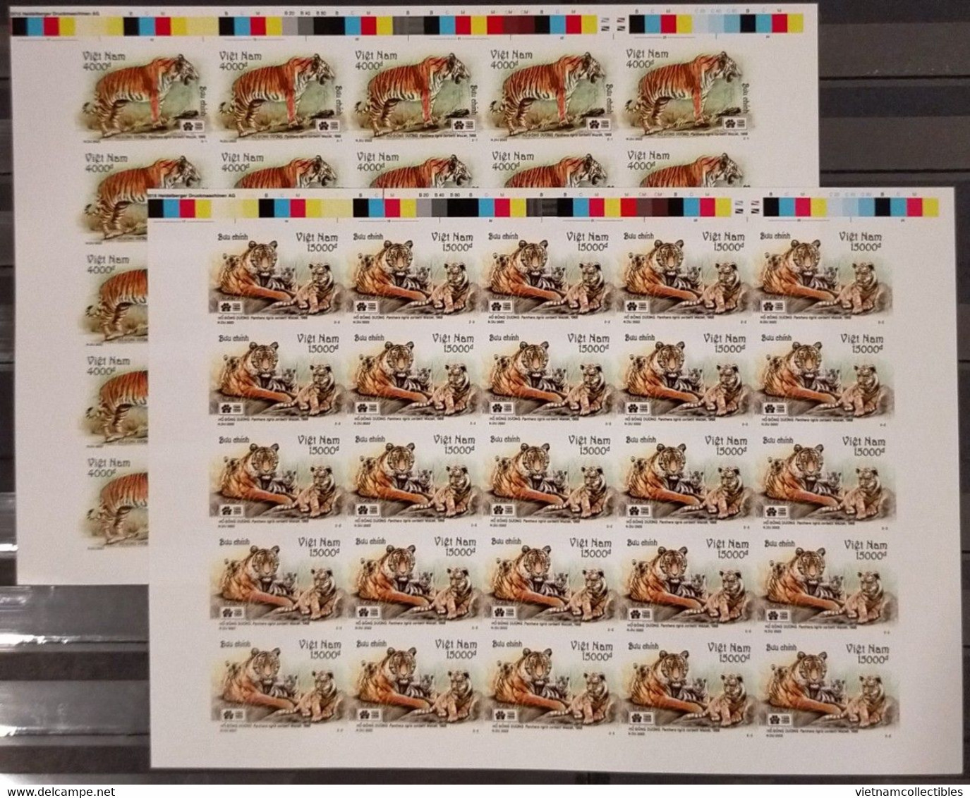 Full Sheets Of Vietnam Viet Nam MNH Imperf Stamps 2022 : Indochinese Tiger Panthera Tigris (Ms1162) - Viêt-Nam