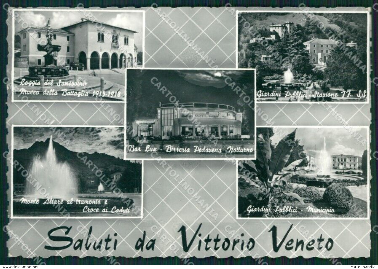Treviso Vittorio Veneto Saluti Da Foto FG Cartolina ZKM7168 - Treviso