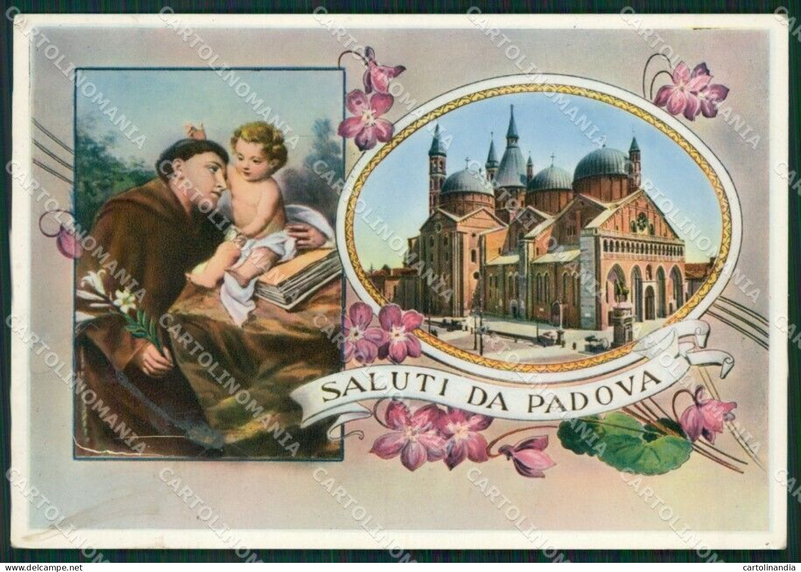 Padova Città Saluti Da ABRASA Foto FG Cartolina ZKM7147 - Padova