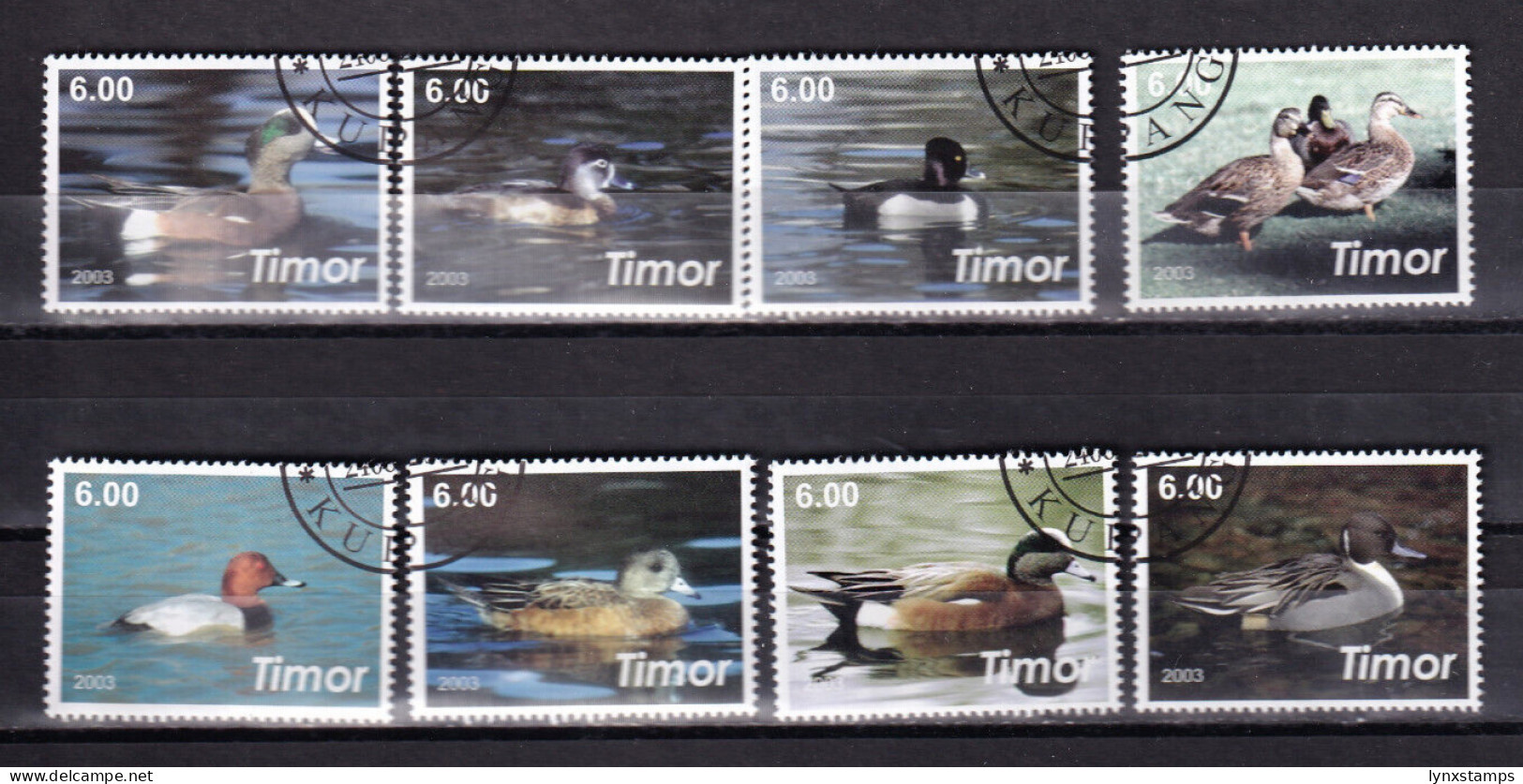 LI07 Timor 2003 Ducks Cinderella Used Stamps - Erinofilia
