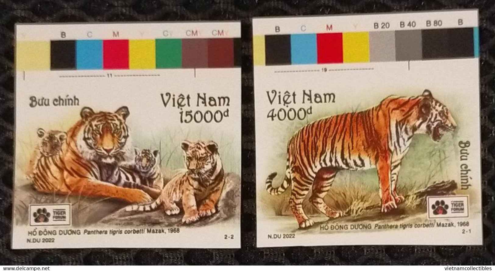 Vietnam Viet Nam MNH Imperf Stamps 2022 : Indochinese Tiger Panthera Tigris / Big Cat (Ms1162) - Viêt-Nam