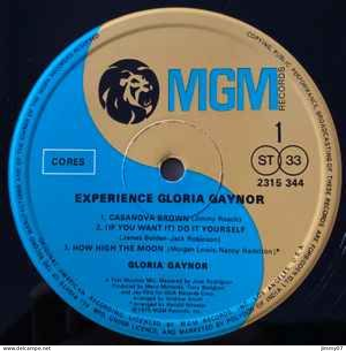 Gloria Gaynor - Experience (LP, Album) Indian  Press !!!!!!! - Rock