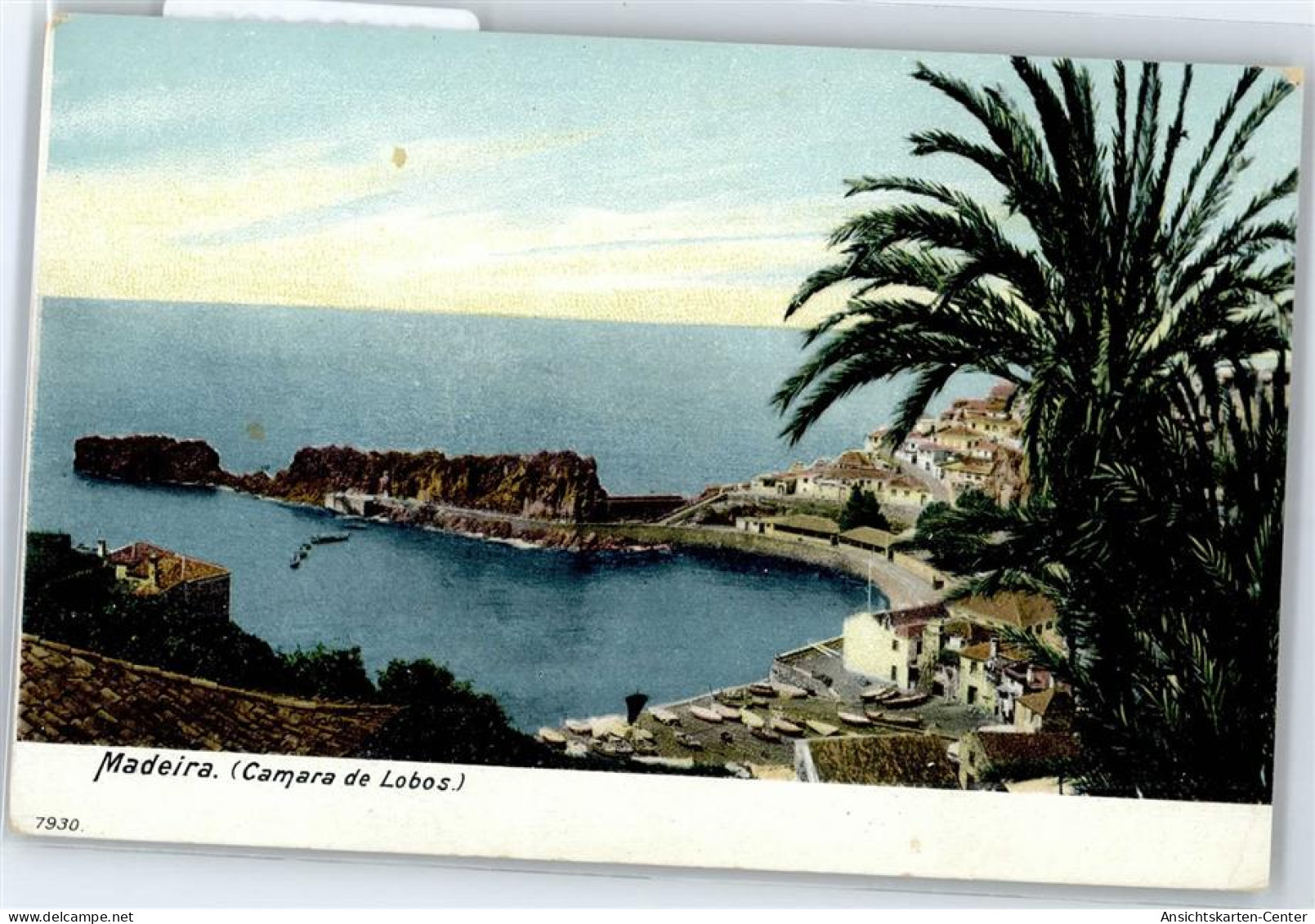 51089605 - Madeira - Other & Unclassified