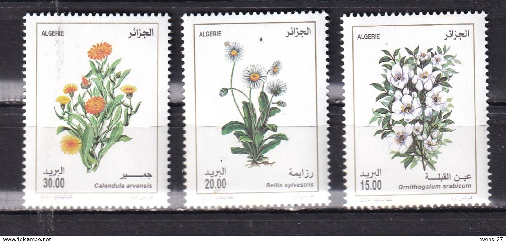 ALGERIA-2014-FLOWERS-MNH. - Sonstige & Ohne Zuordnung