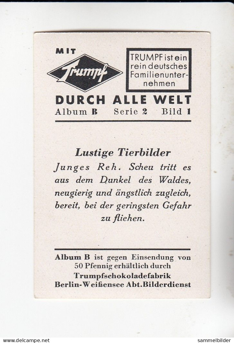 Mit Trumpf Durch Alle Welt Lustige Tierbilder Junges Reh   B Serie 2 #1 Von 1933 - Zigarettenmarken