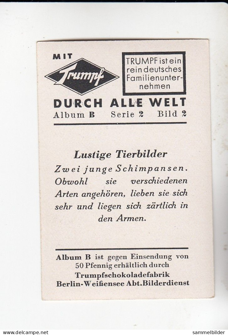 Mit Trumpf Durch Alle Welt Lustige Tierbilder Zwei Junge Schimpansen  B Serie 2 #2 Von 1933 - Zigarettenmarken