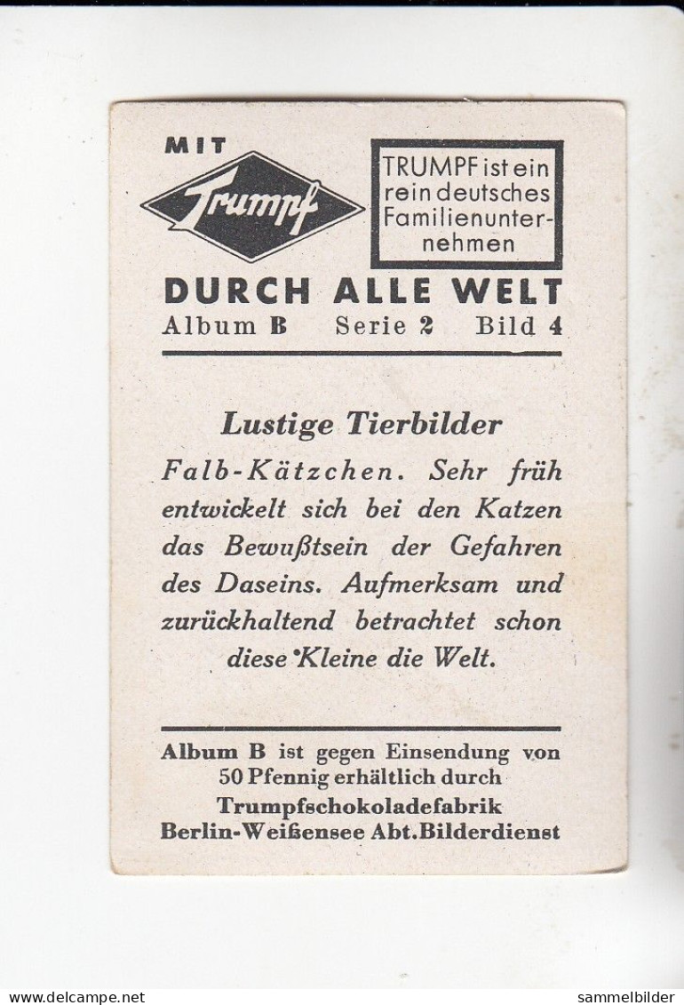 Mit Trumpf Durch Alle Welt Lustige Tierbilder Falb - Kätzchen    B Serie 2 #4 Von 1933 - Zigarettenmarken
