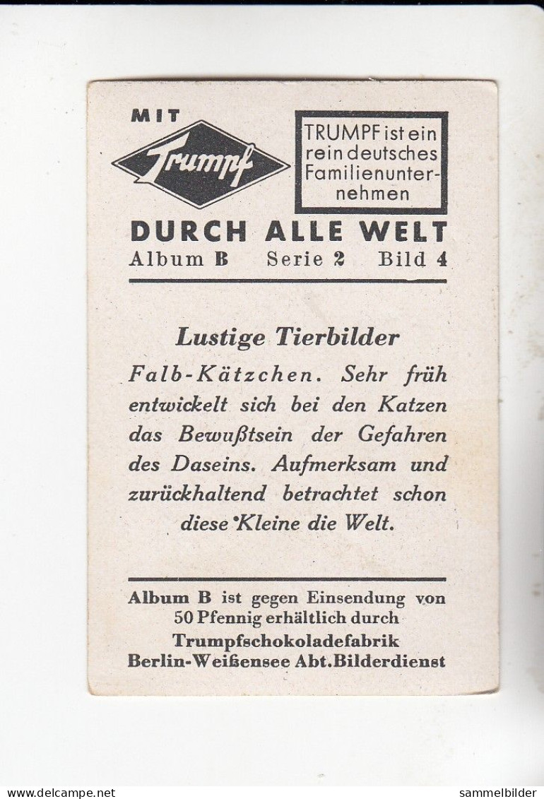 Mit Trumpf Durch Alle Welt Lustige Tierbilder Falb - Kätzchen    B Serie 2 #4 Von 1933 - Otras Marcas