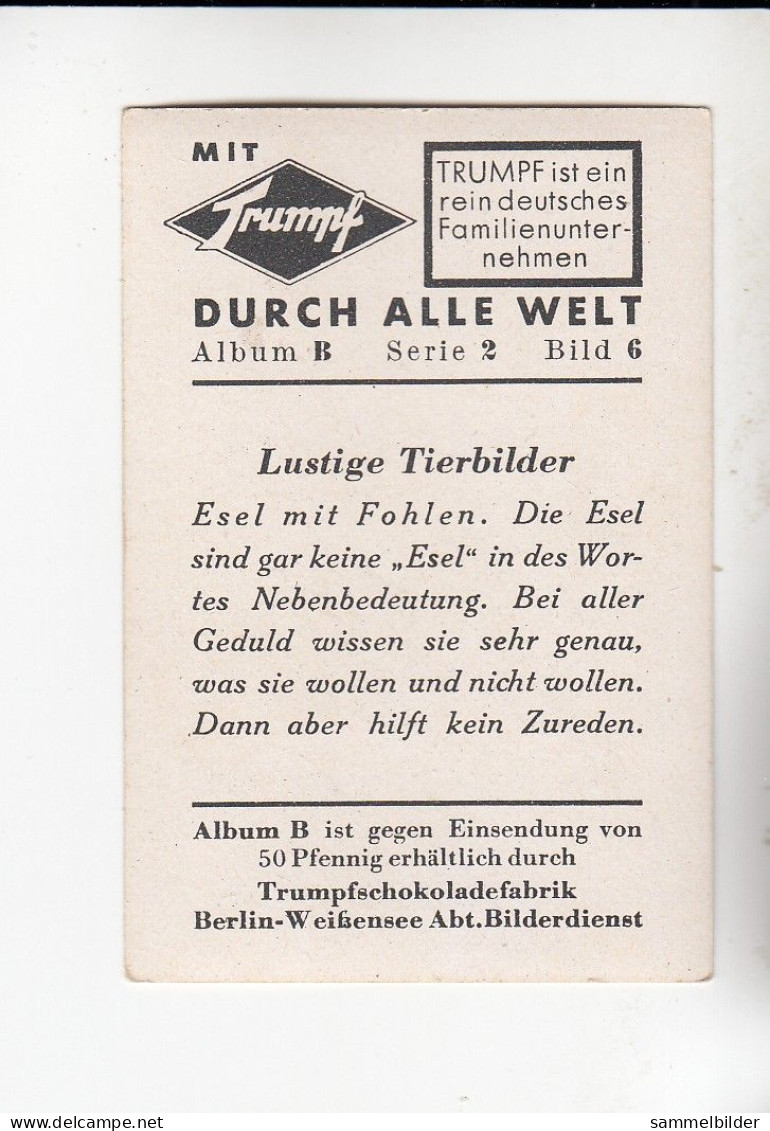 Mit Trumpf Durch Alle Welt Lustige Tierbilder Esel Mit Fohlen   B Serie 2 #6 Von 1933 - Other Brands