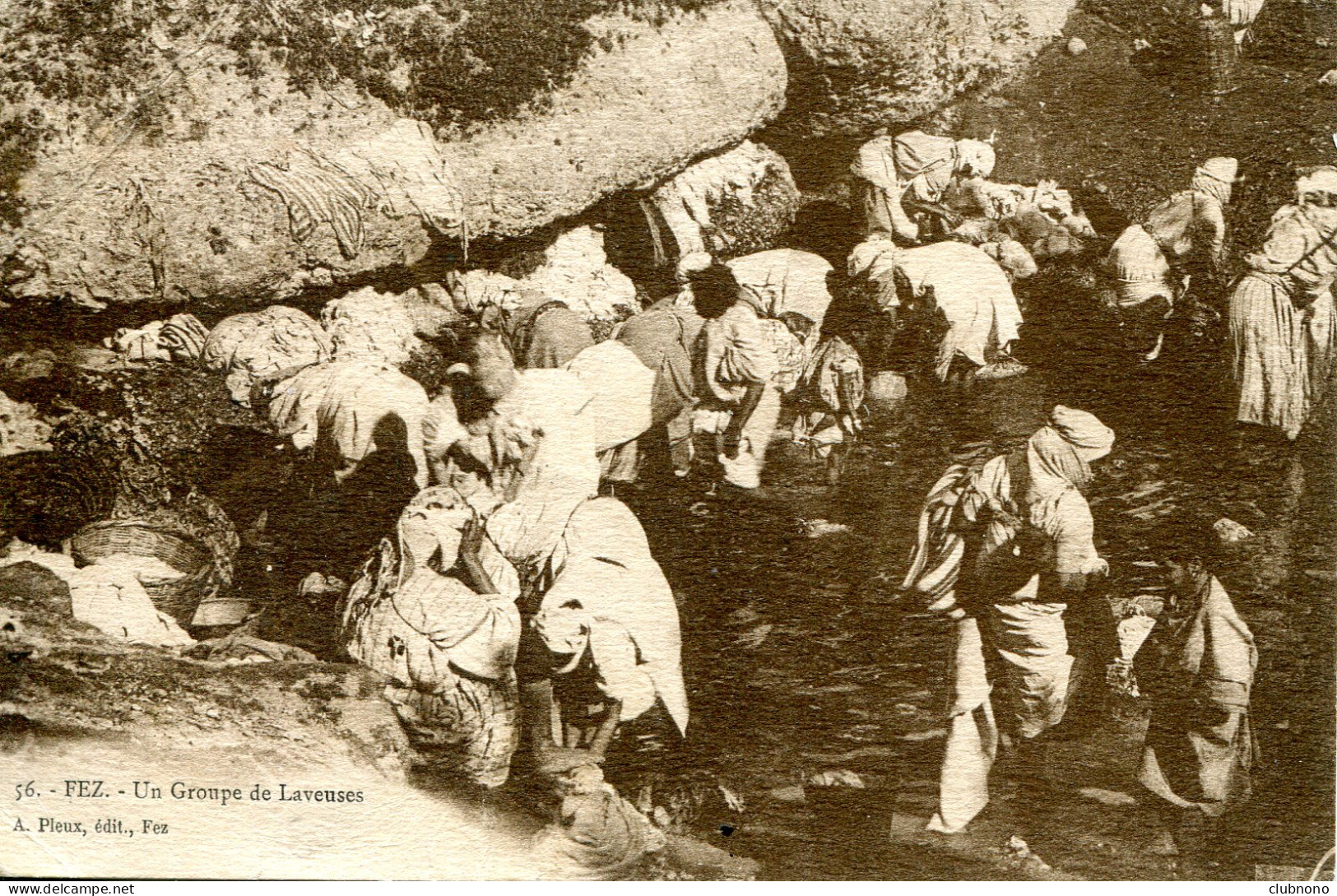 CPA - FEZ - UN GROUPE DE LAVEUSES - Fez