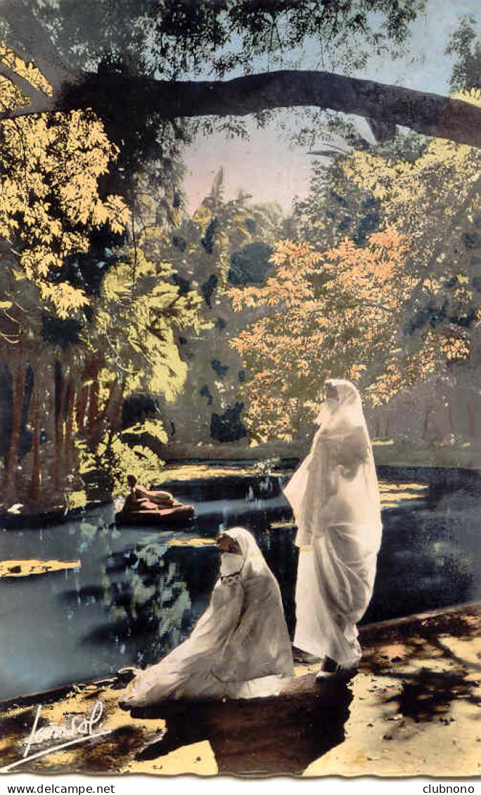 CPA - ALGER - JARDIN D'ESSAI (BELLE CARTE) - Algiers