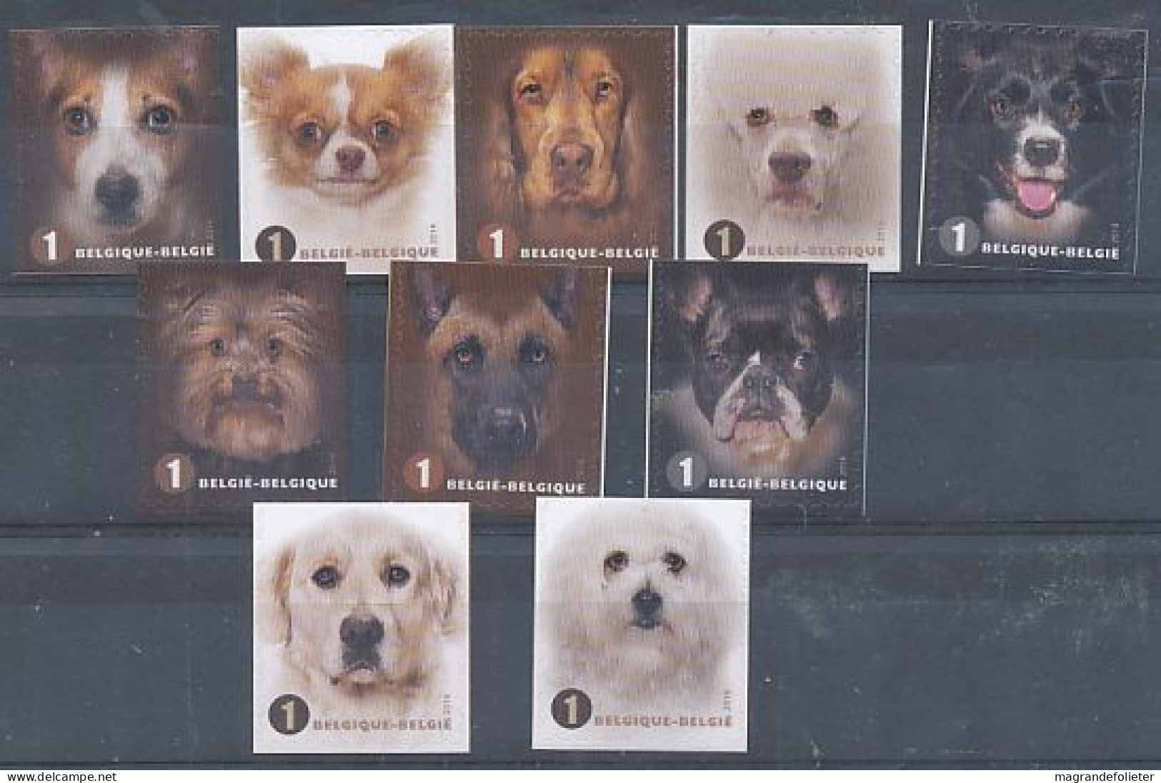 TIMBRE  ZEGEL STAMP  BELGIQUE FACES DE CHIENS 4383-4392  XX - 2013-... Rey Felipe