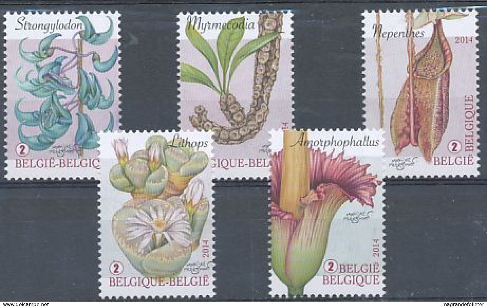 TIMBRE  ZEGEL STAMP  BELGIQUE PLANTES INSOLITES 4392-97  XX - 2013-... Rey Felipe