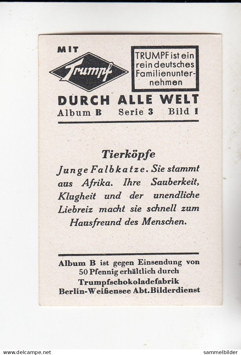 Mit Trumpf Durch Alle Welt Lustige Tierköpfe Junge Falbkatze B Serie 3 #1 Von 1933 - Other Brands
