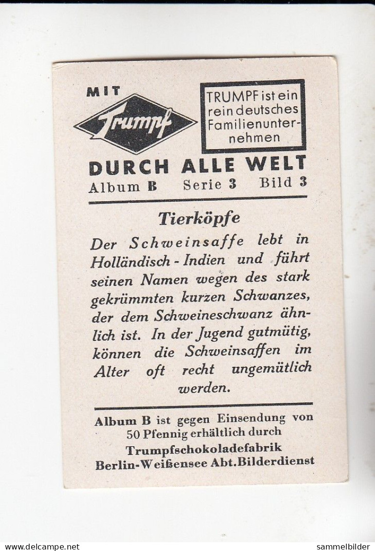 Mit Trumpf Durch Alle Welt Lustige Tierköpfe Der Schweinsaffe   B Serie 3 #3 Von 1933 - Otras Marcas