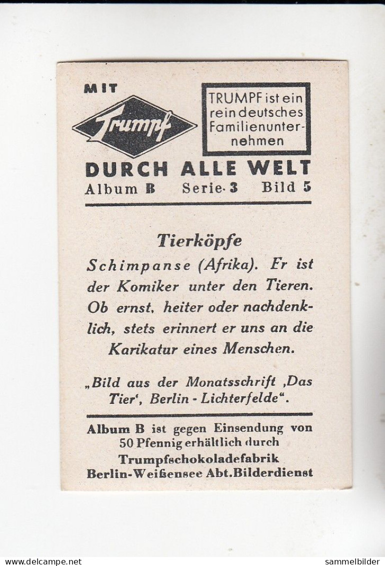 Mit Trumpf Durch Alle Welt Lustige Tierköpfe Schimpanse ( Afrika )  B Serie 3 #5 Von 1933 - Other Brands