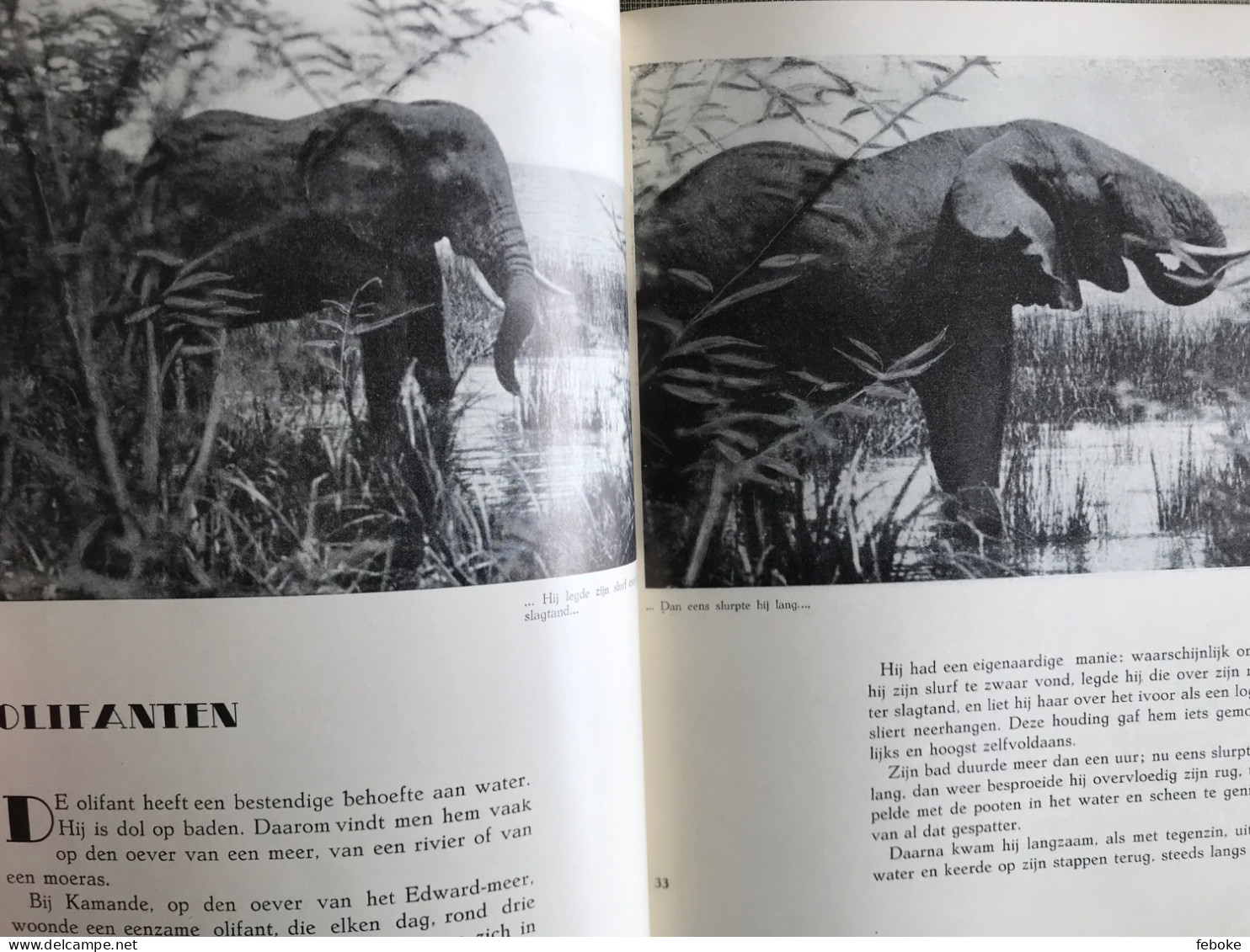 Momentopnamen Bij De Dieren In De Wildernis.  Schrijver Lippens, Léon 1938 - Geographie