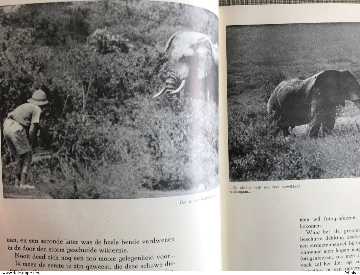 Momentopnamen bij de dieren in de wildernis.  Schrijver Lippens, Léon 1938