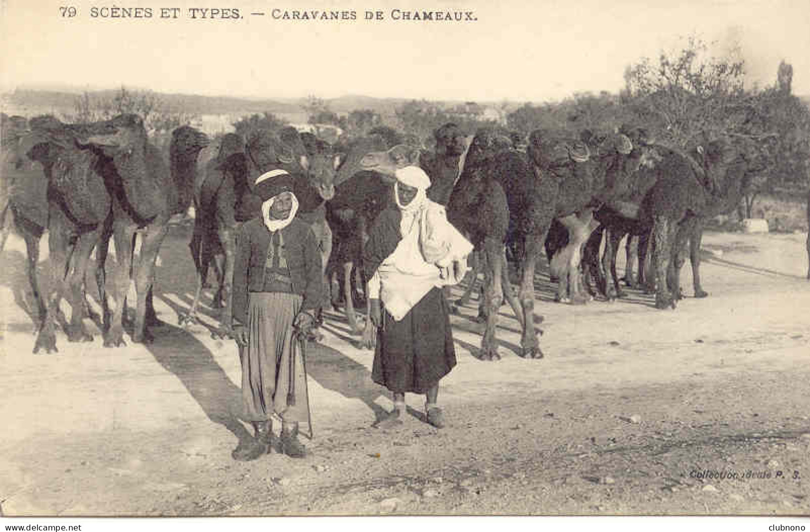 CPA - ALGERIE - CARAVANES DE CHAMEAUX (Coll. Ideal 79) - Escenas & Tipos