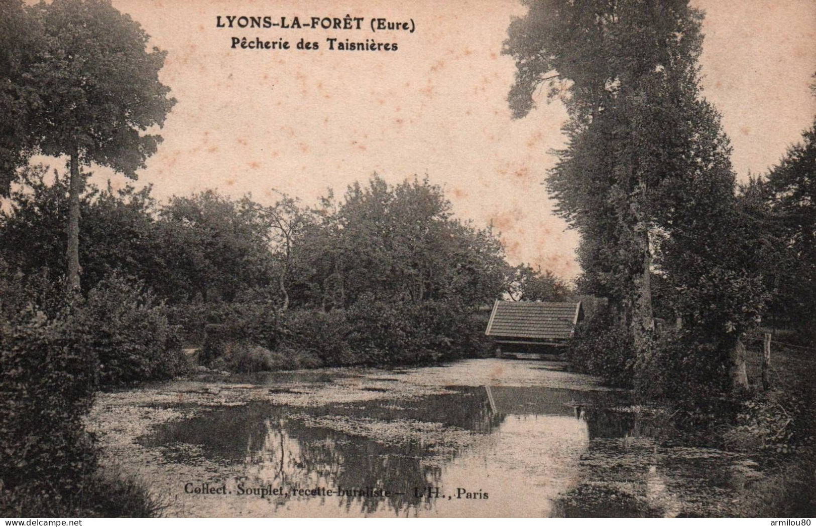 N°251 D1 LYONS LA FORET PECHERIE DES TAISNIERES - Lyons-la-Forêt