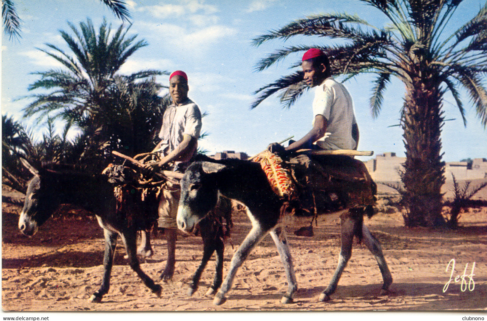 CPSM  -  ALGERIE PITTORESQUE - LES DEUX ANES - Scènes & Types