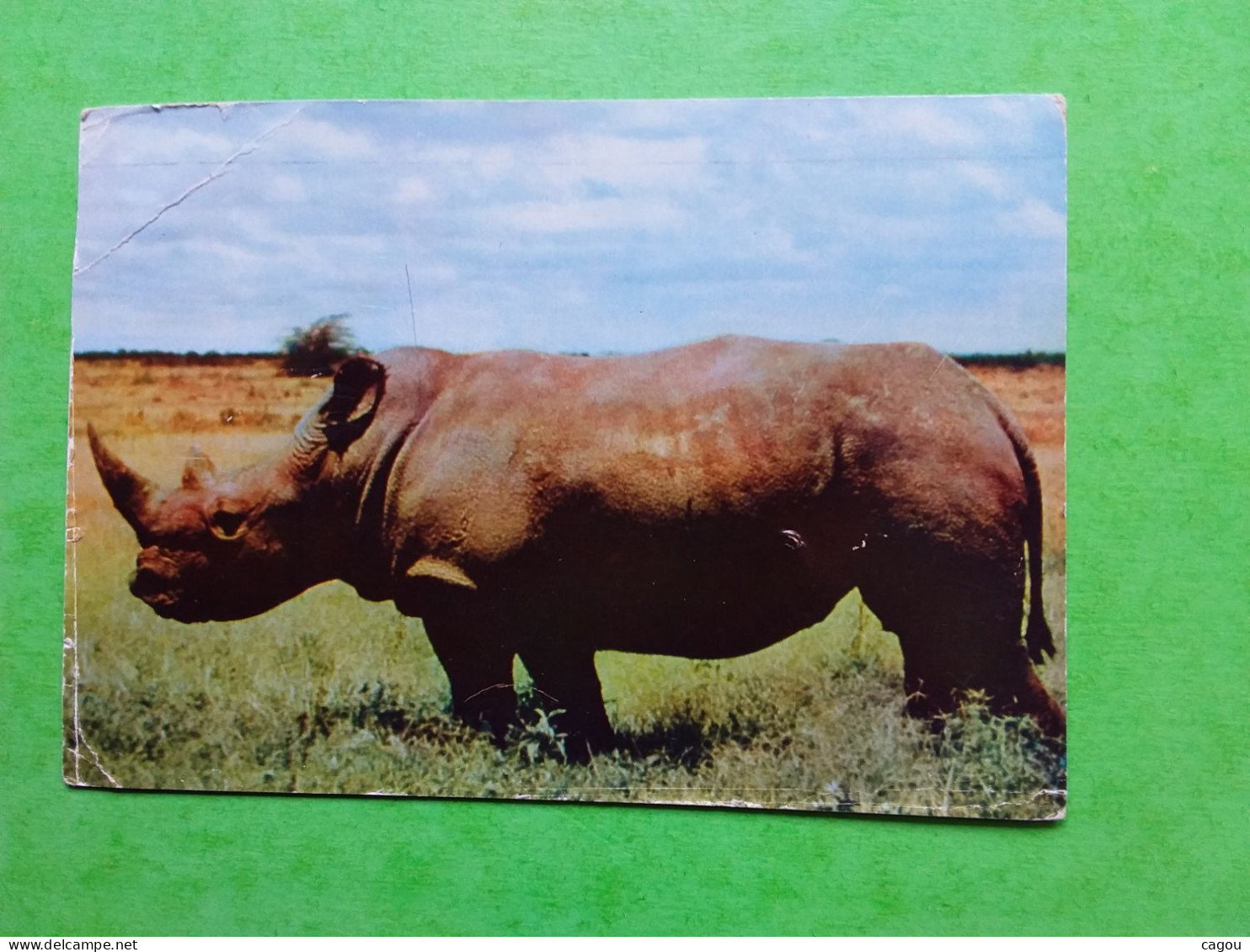 KENYA UGANDA TANGANYIKA CARTE PUBLICITAIRE IONYL UN SIÈCLE APRÈS LIVINGSTONE 9 - KENYA RHINOCÉROS - Kenya, Oeganda & Tanganyika