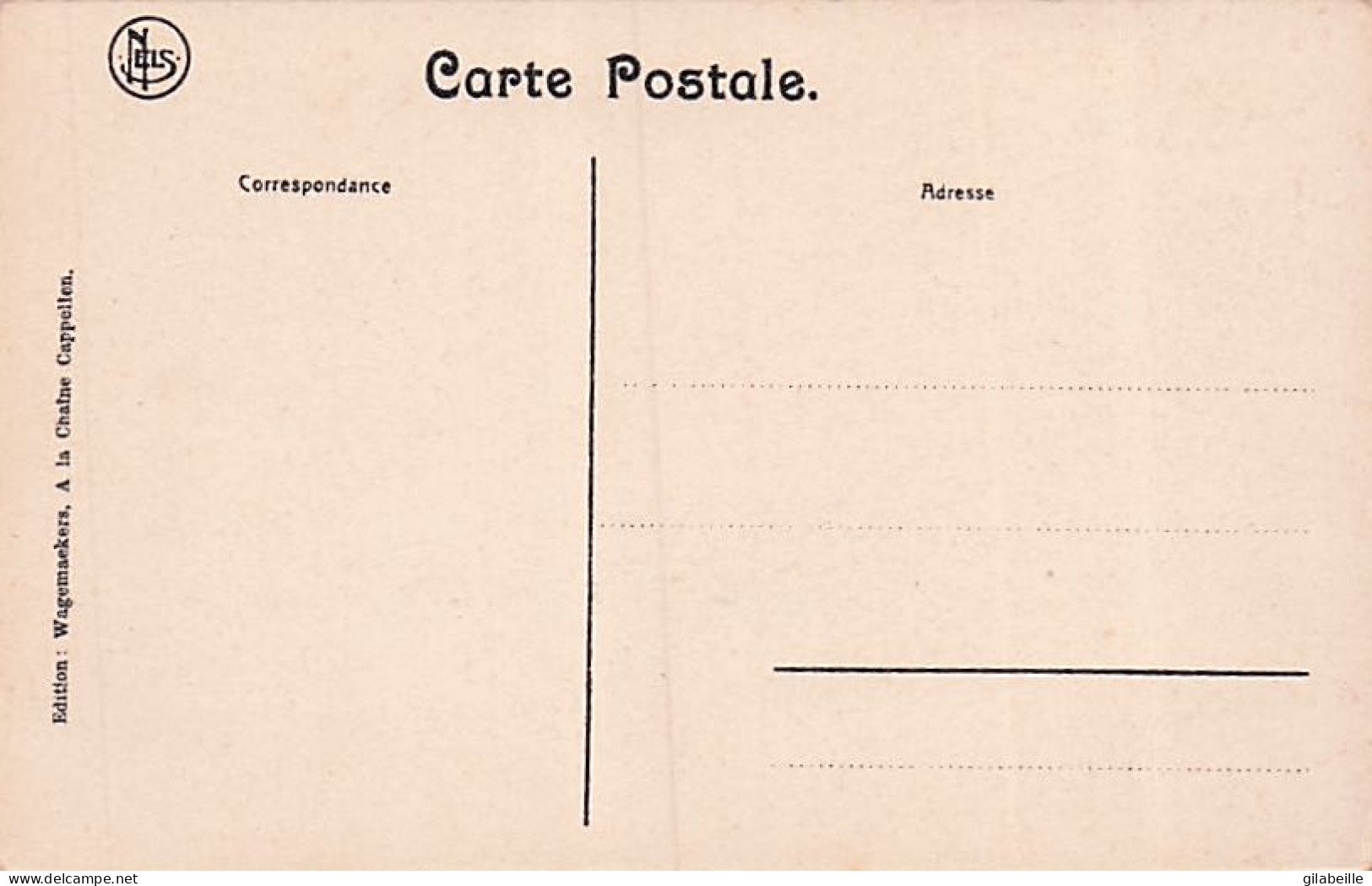 Kapellen - Cappellen - Vue Dans La Bruyere - Kapellen