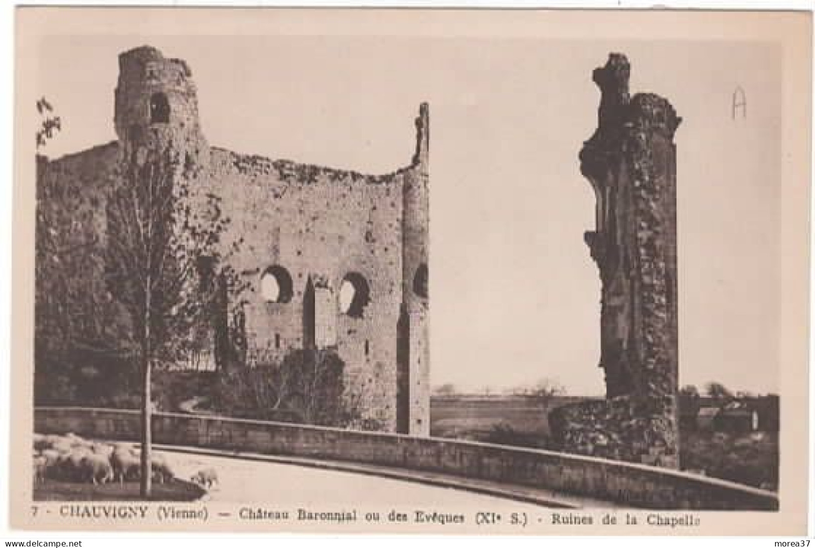 CHAUVIGNY  Château Baronnial Ou Des Evêques  Ruines De La Chapelle - Chauvigny