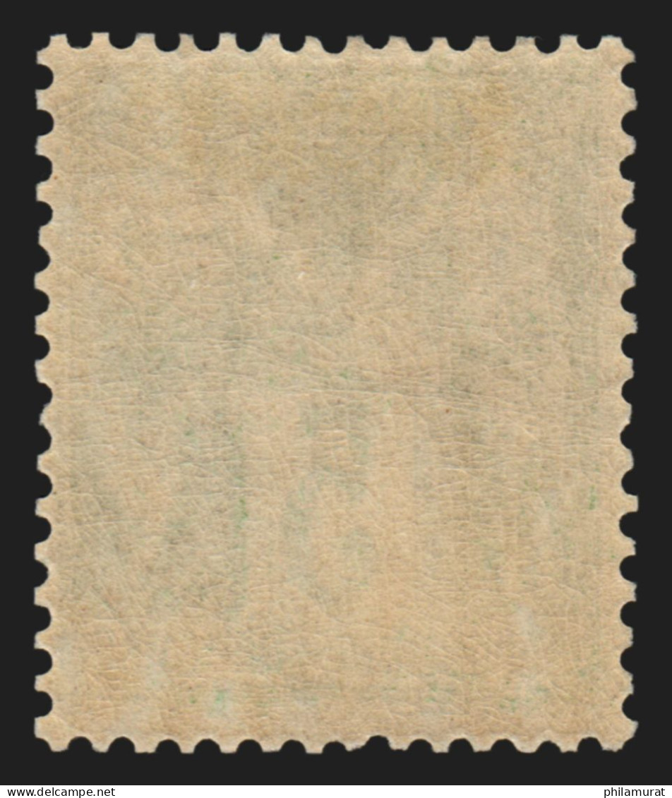 N°102, Sage 5c Vert-jaune (N Sous B), Neuf * Infime Trace De Charnière - TB - 1898-1900 Sage (Type III)