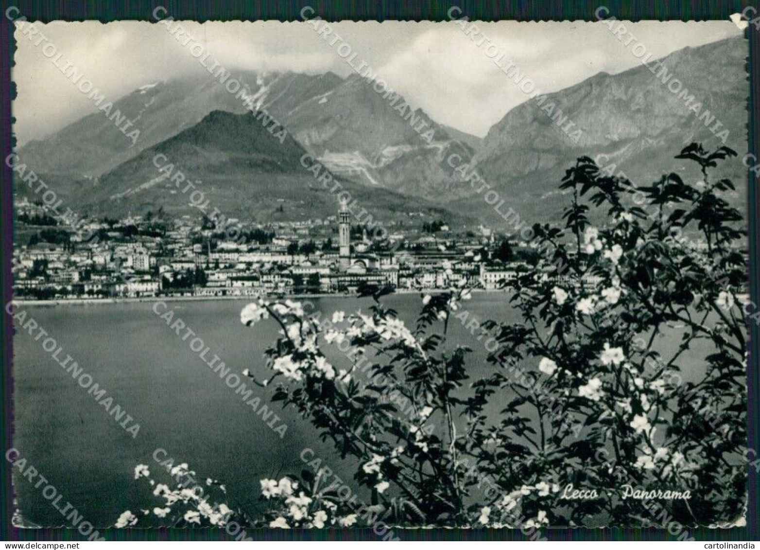 Lecco Città Lago Di Como Foto FG Cartolina KB3476 - Lecco