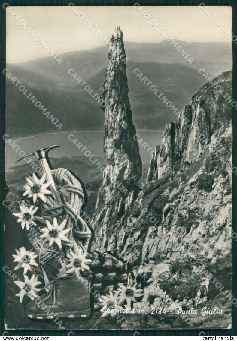 Lecco Grignetta Punta Giulia Stelle Alpine Foto FG Cartolina KB3482 - Lecco