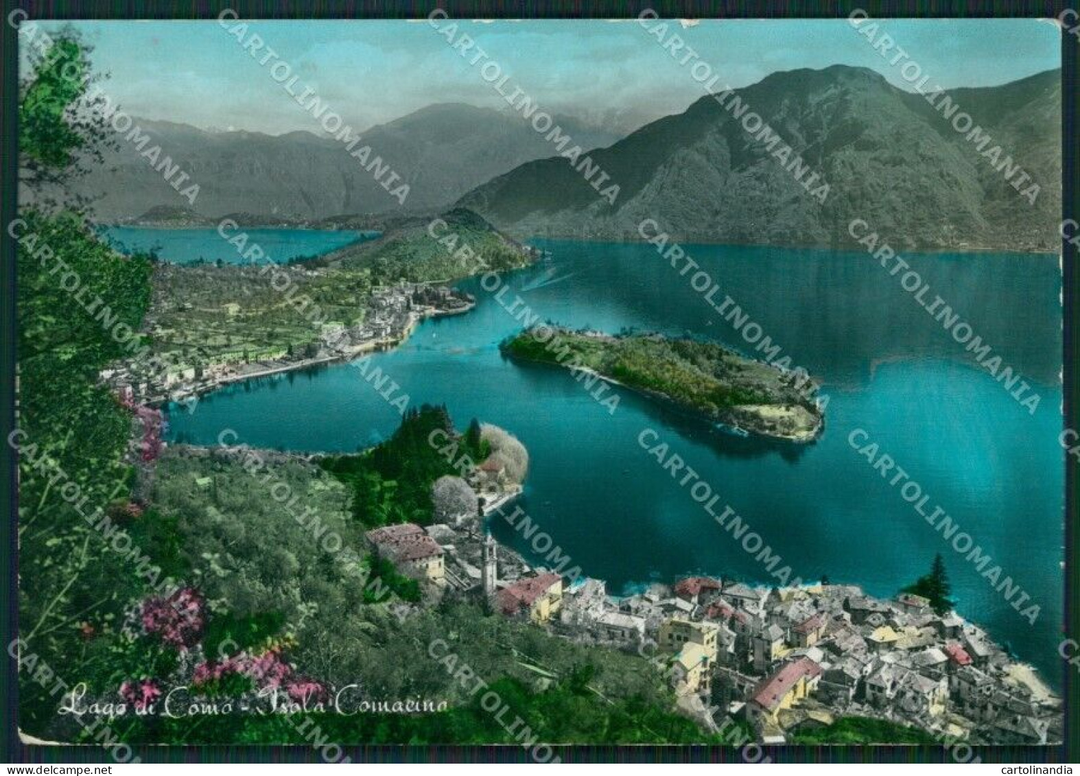 Como Isola Comacina Lago Di Como Foto FG Cartolina KB3490 - Como