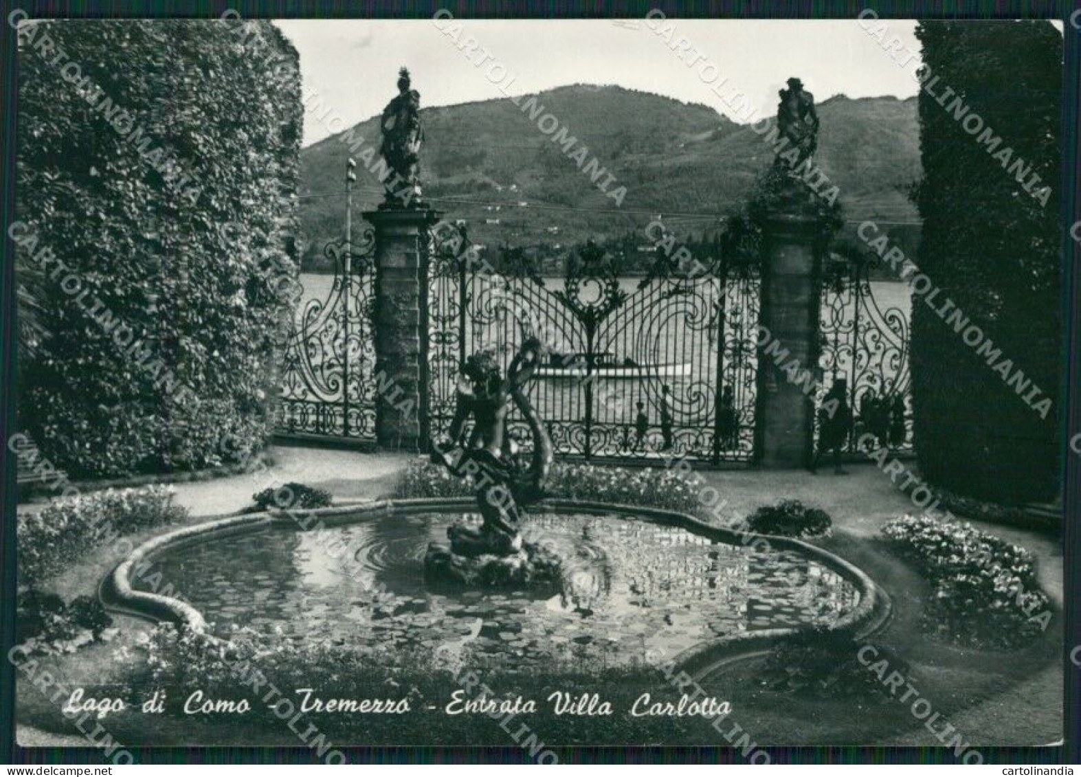 Como Tremezzo Villa Carlotta Foto FG Cartolina KB3492 - Como