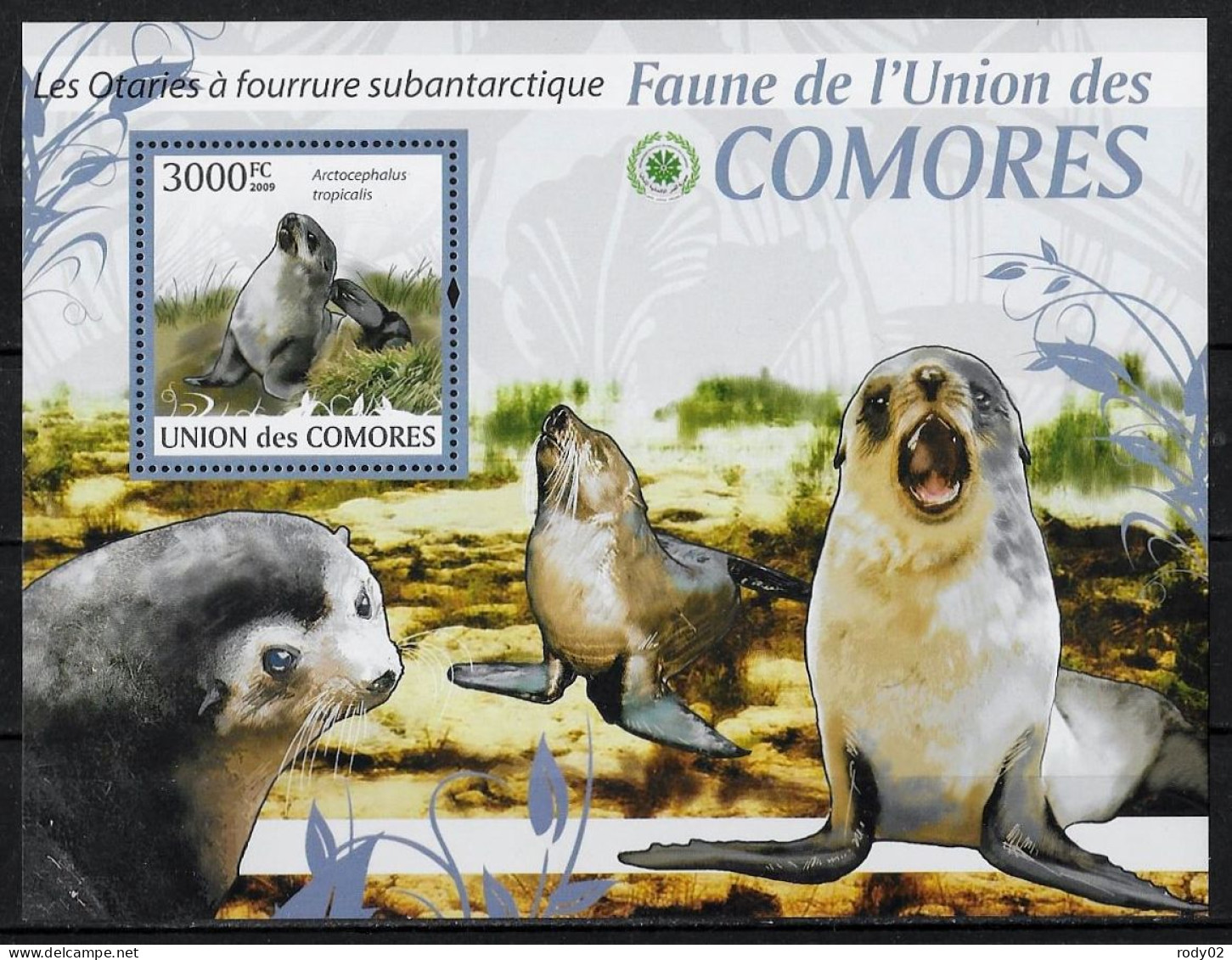 COMORES - OTARIES - BF 213 - NEUF** MNH - Other & Unclassified