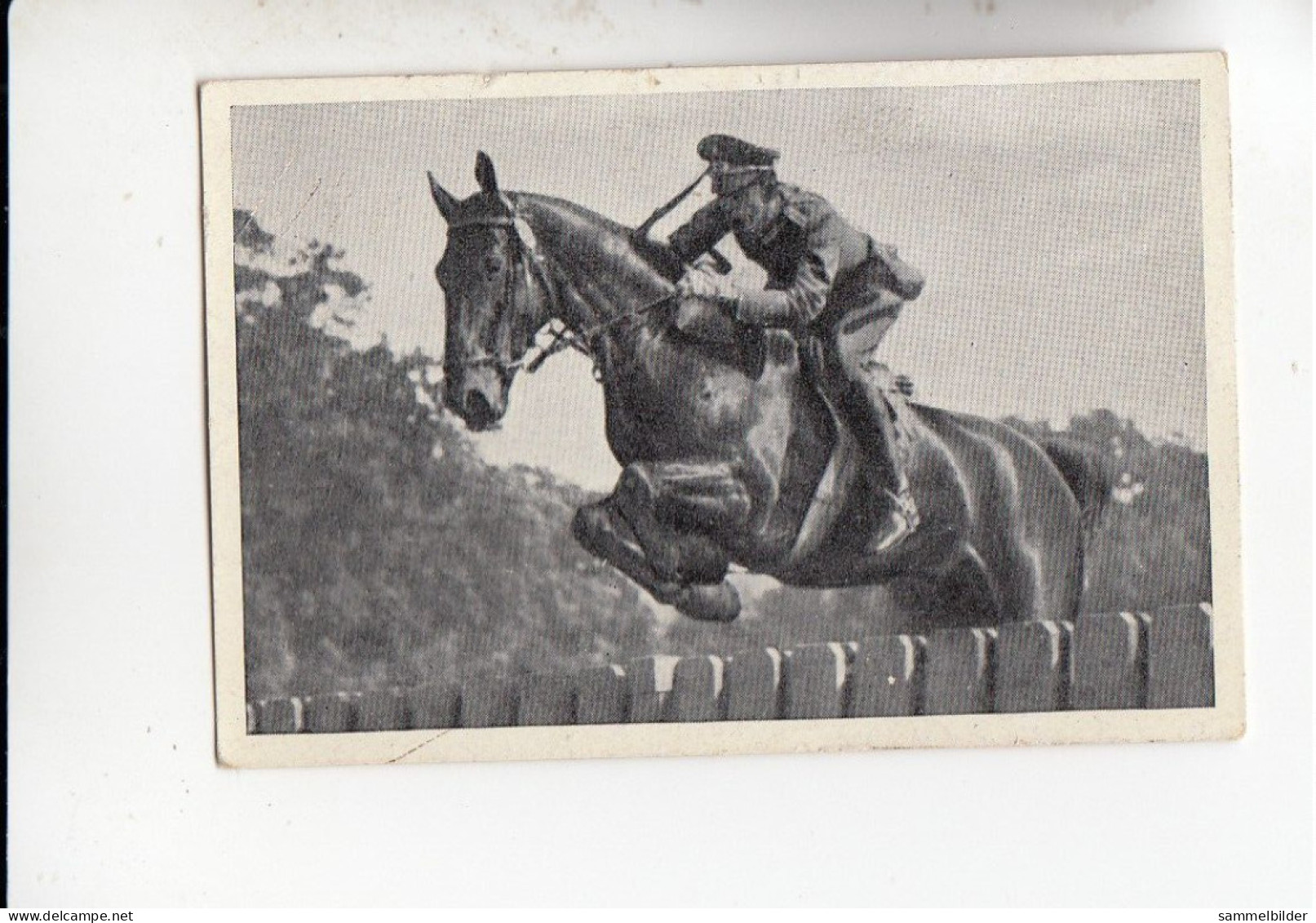 Mit Trumpf Durch Alle Welt Armee Reitschule Hannover Oberleutnant Hasse Auf Basko B Serie 5 #2 Von 1933 - Autres Marques