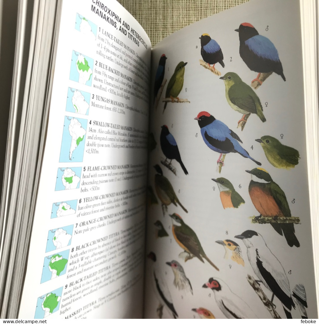 Collins Field Guide To The Birds Of South America: Passerines: From Sapayoa To Finches 2015 - Wildlife