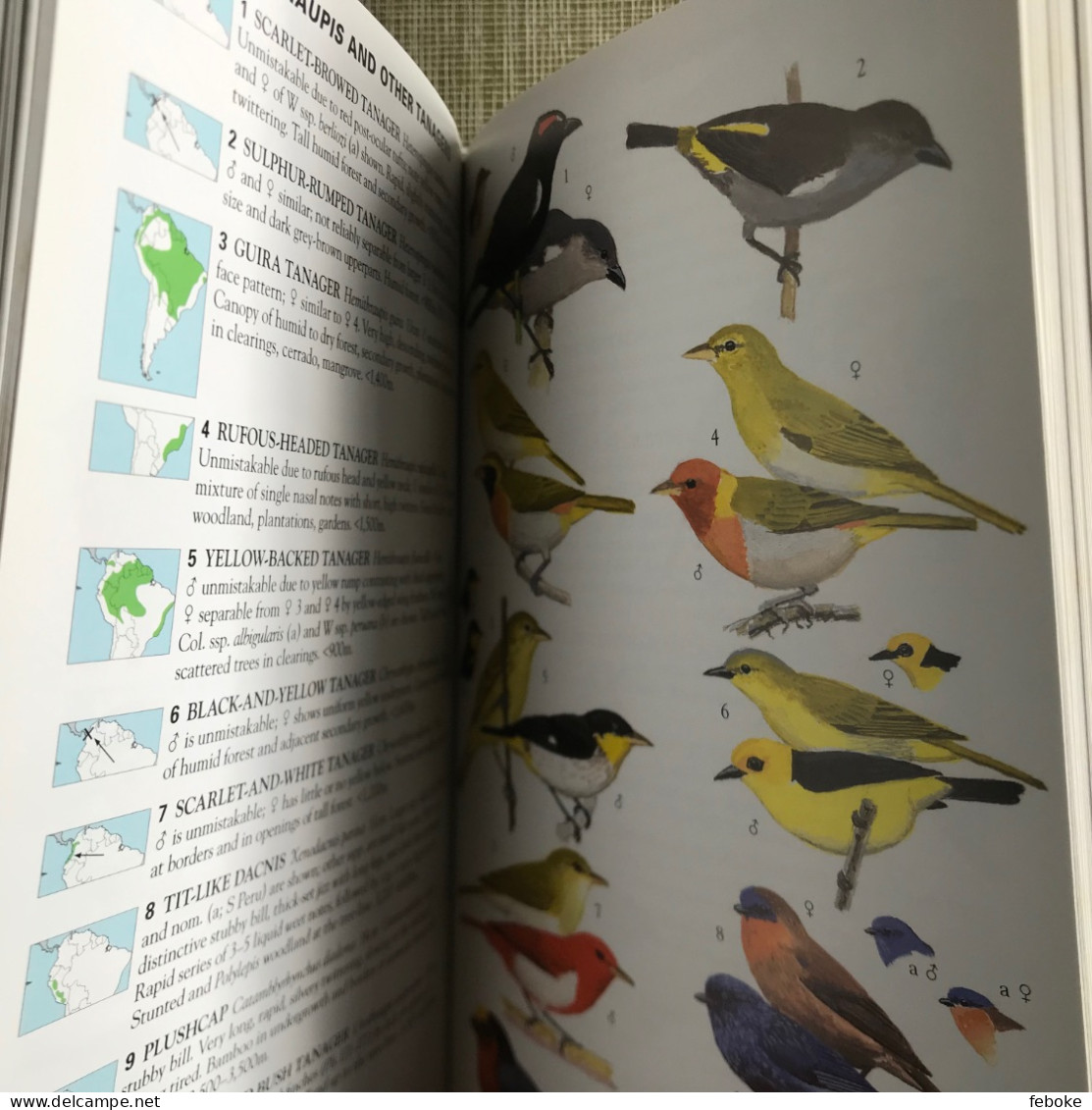 Collins Field Guide to the Birds of South America: Passerines: From Sapayoa to Finches 2015